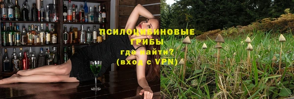 spice Корсаков