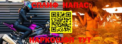 прущие грибы Жуковский