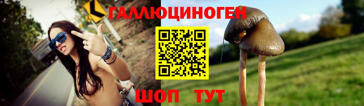 Галлюциногенные грибы MAGIC MUSHROOMS  наркотики  Псилоцибиновые грибы Magic Shrooms  Керчь 